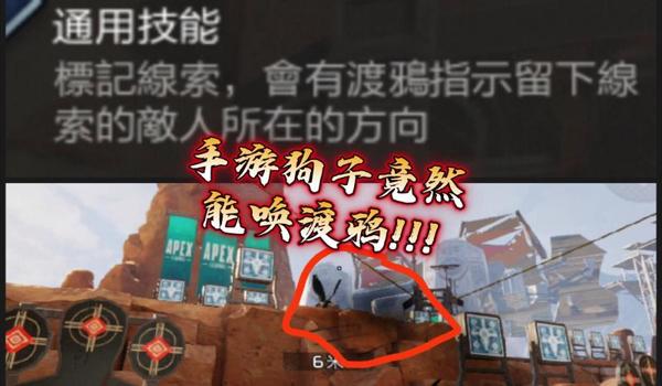 GPS在线定位去哪里找（靠谱GPS在线定位怎么获得？）
